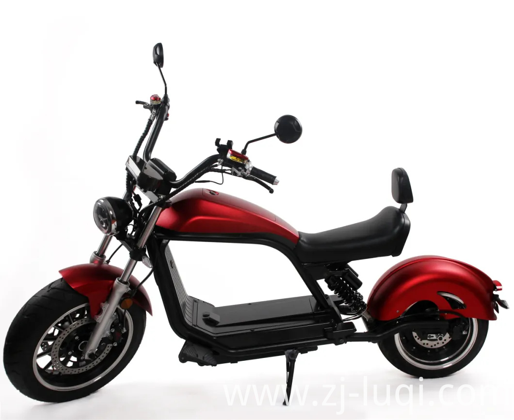 2020 Newest Model Removable Battery Racing E Car Mobility Luqi Electric Scooters with Long Leather Seats